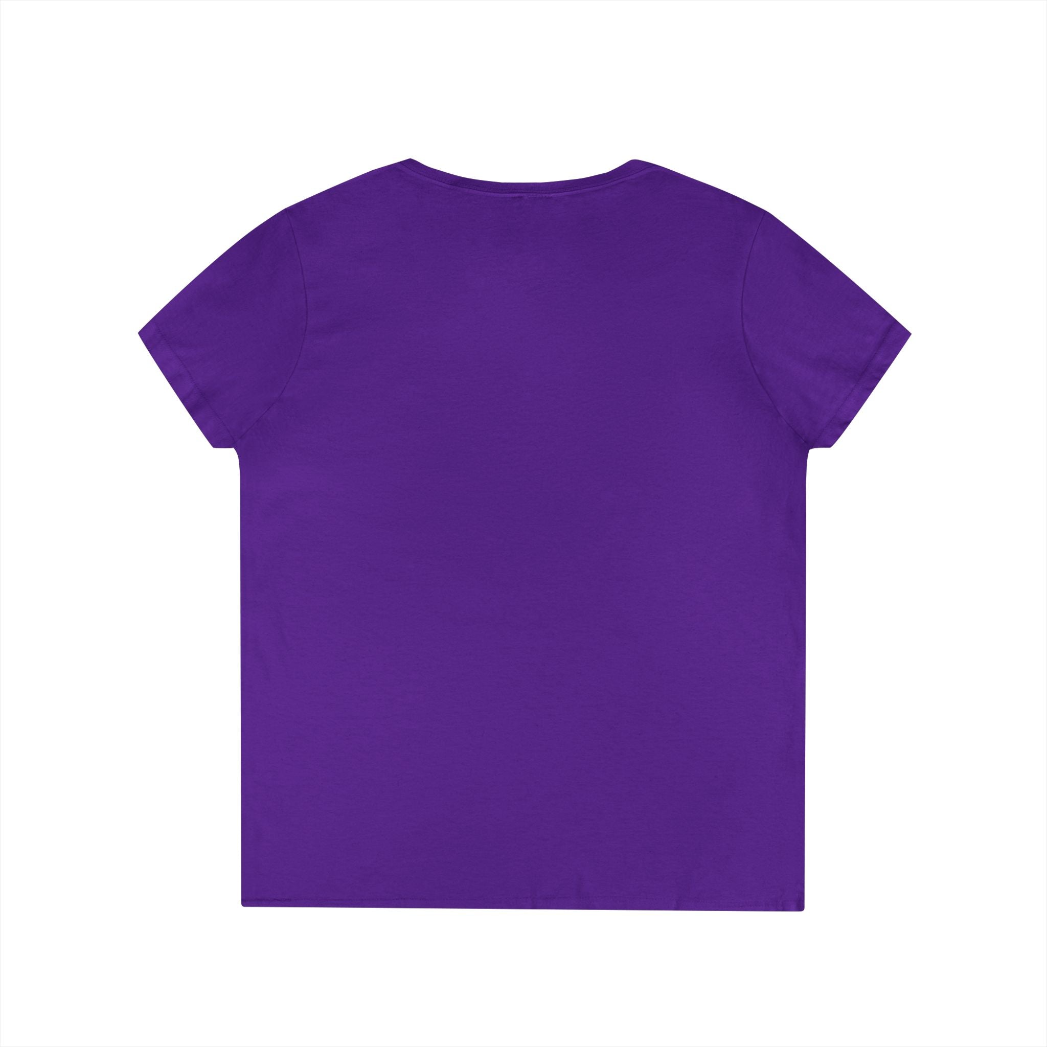 Bristol Sign Ladies' V-Neck T-Shirt