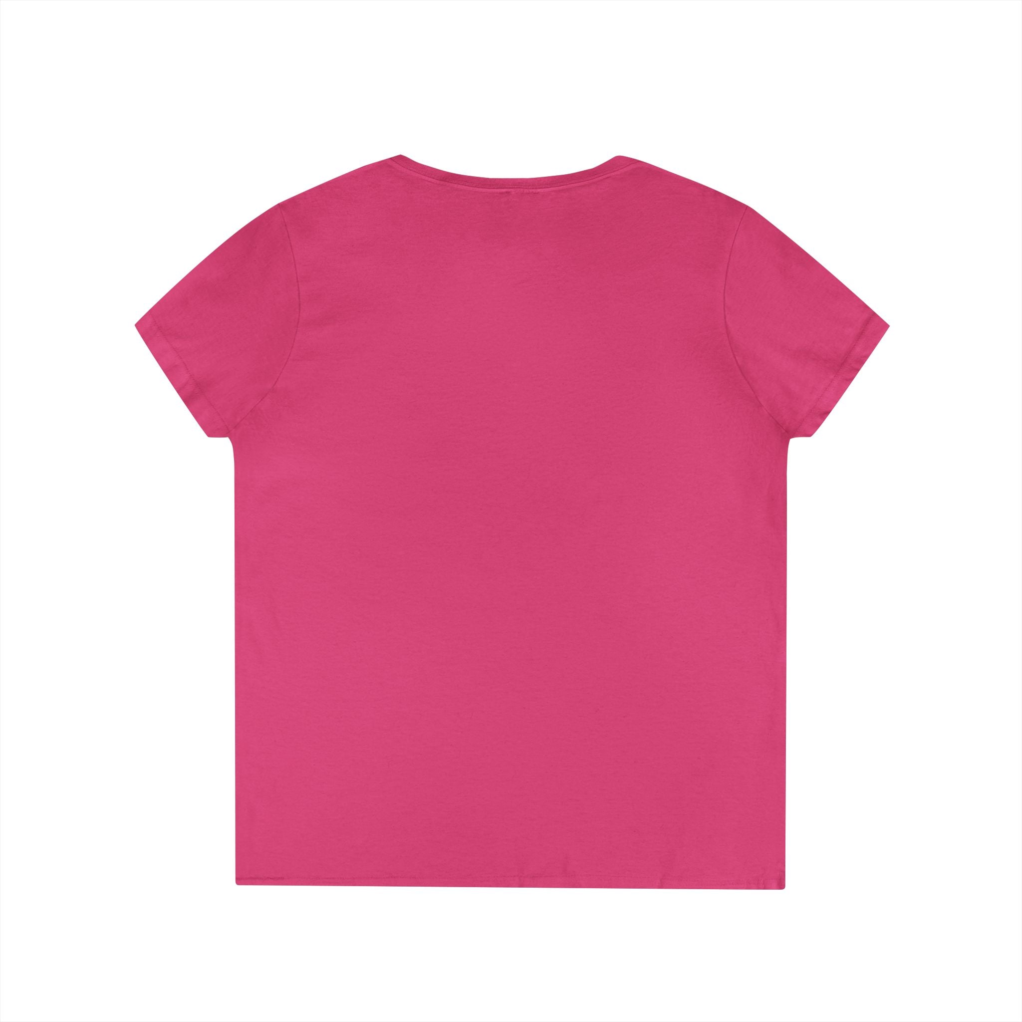 Bristol Sign Ladies' V-Neck T-Shirt