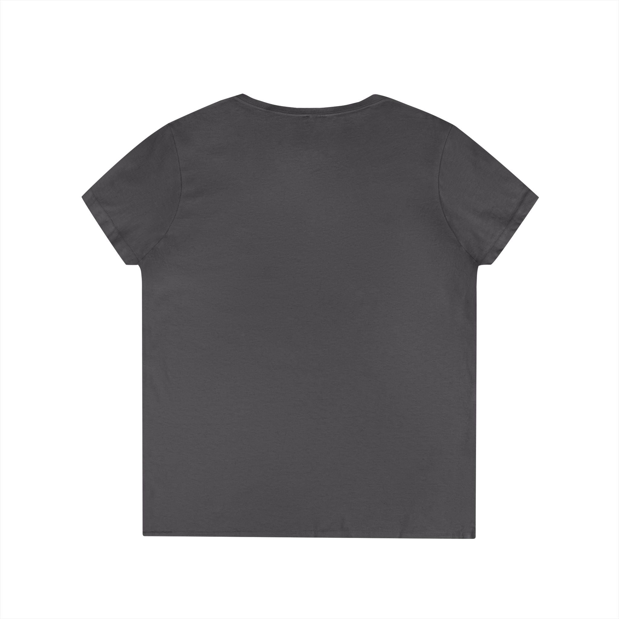 Bristol Sign Ladies' V-Neck T-Shirt