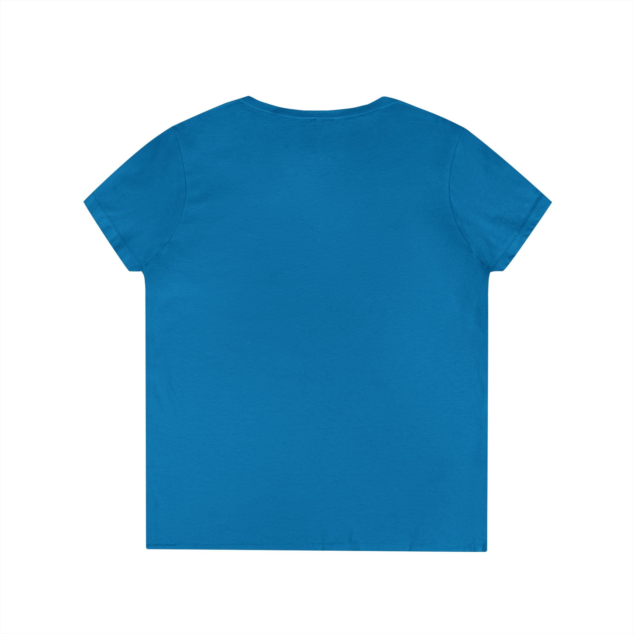 Bristol Sign Ladies' V-Neck T-Shirt