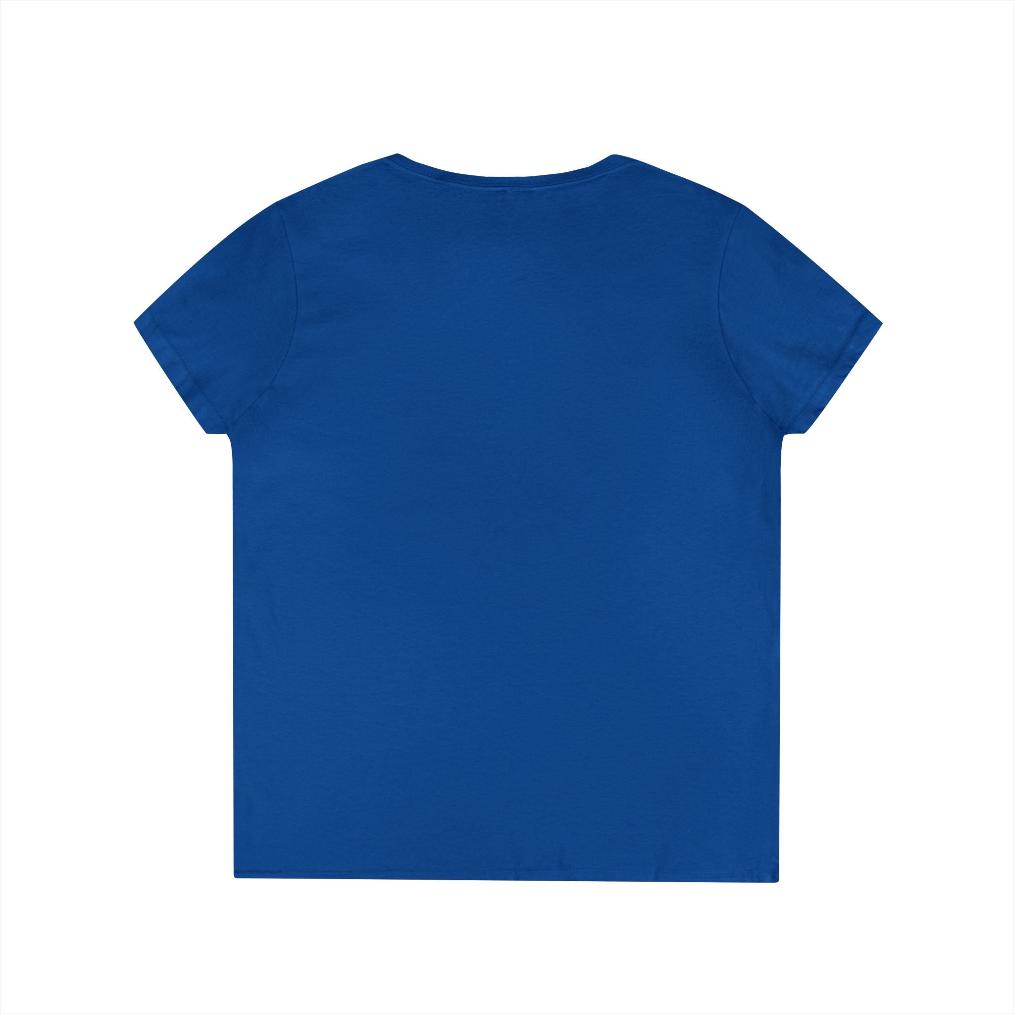 Bristol Sign Ladies' V-Neck T-Shirt